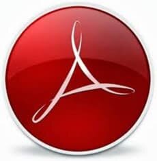 Adobe Acrobat Pro (  )
